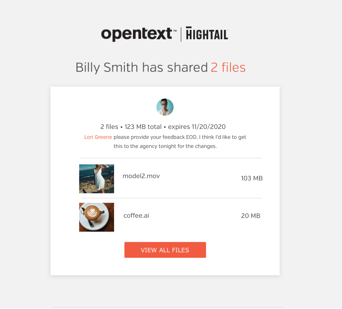 Send and preview large files interface